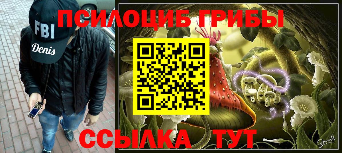 Псилоцибиновые грибы мицелий Южноуральск