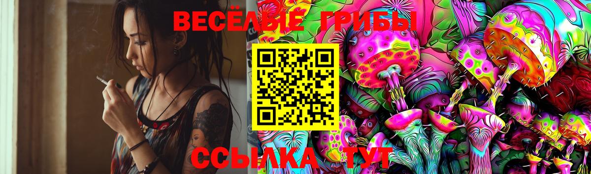 Галлюциногенные грибы Cubensis  Вход с VPN  Южноуральск 